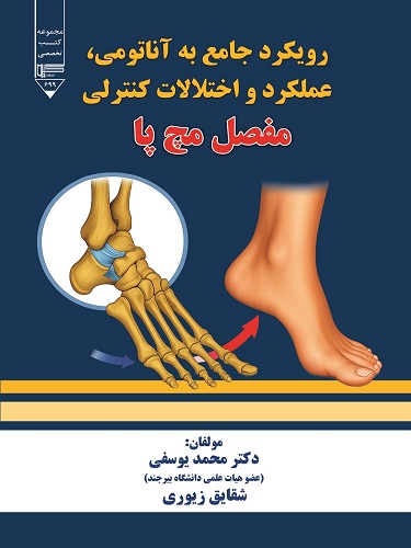 مفصل مچ پا