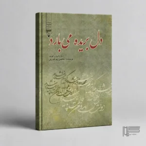 دل بریده می‌بارد